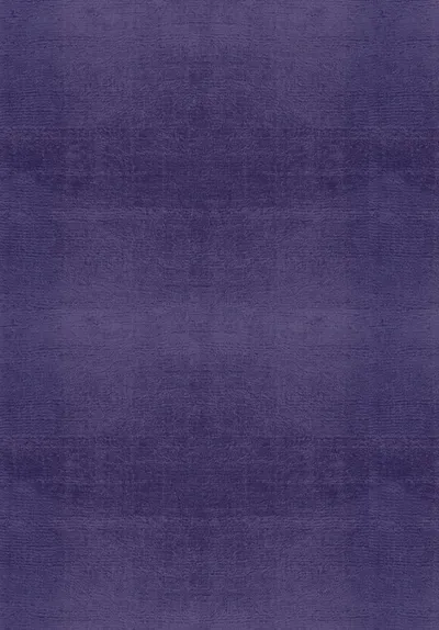 Art Silk Rug