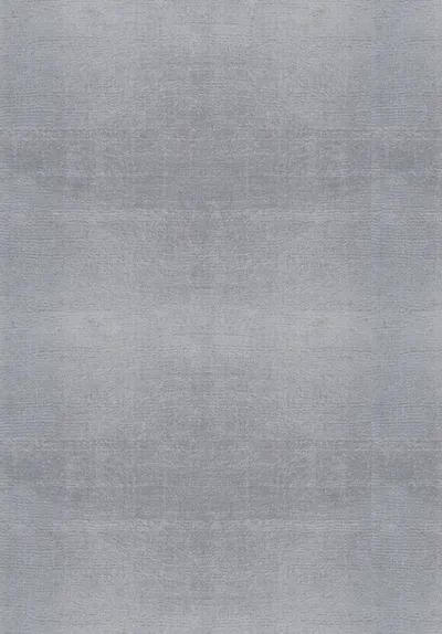 Art Silk Rug